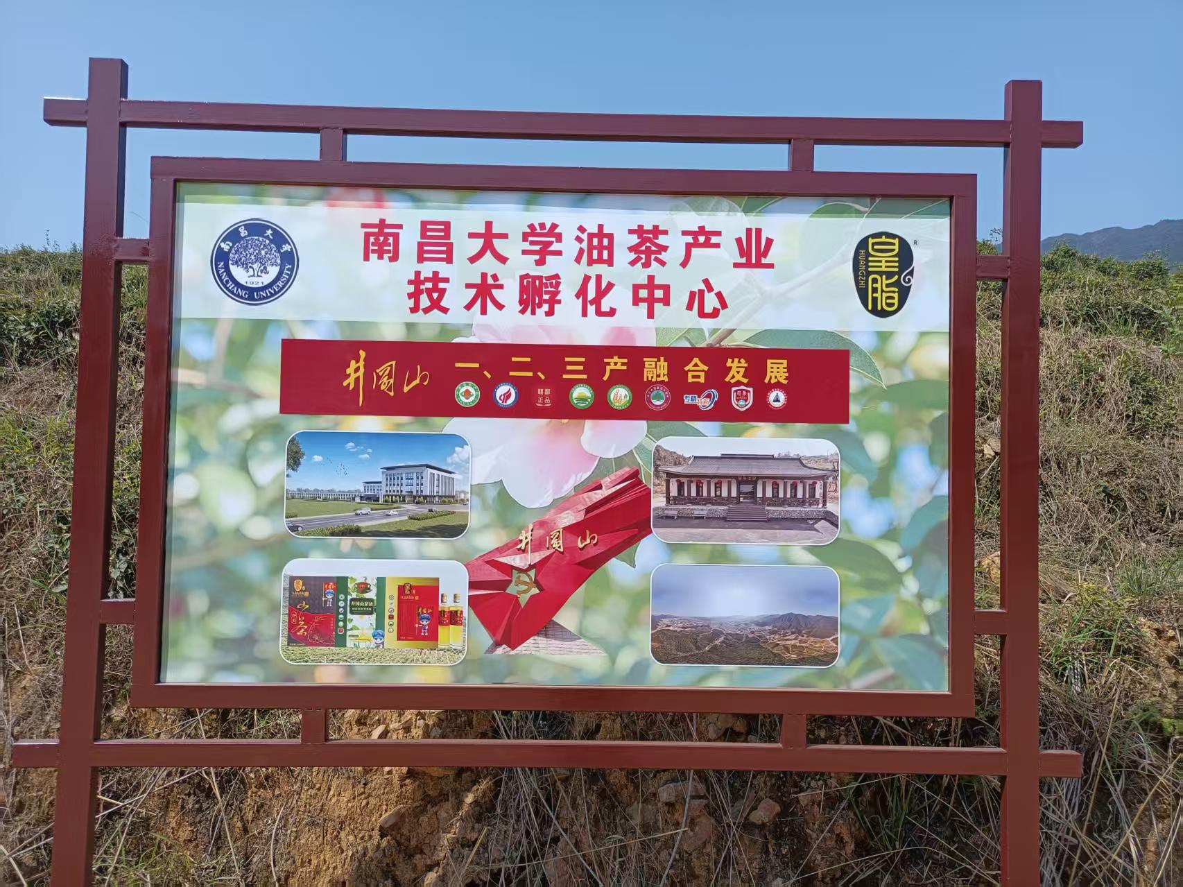 基地实景 3