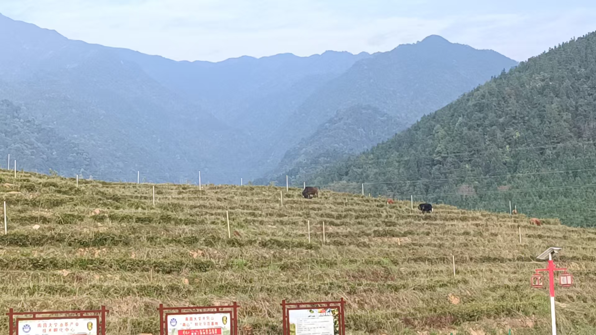 基地实景 4
